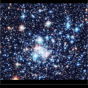 The Night Garden (feat. lil scandic)