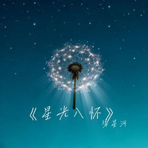 星光入怀