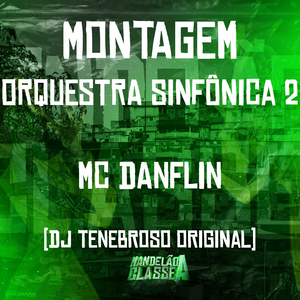 Montagem Orquestra Sinfônica 2