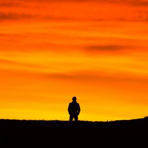 杰奎里蒂之死 the Death of Jequirity