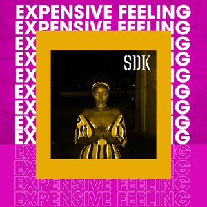 Expensive Feeling