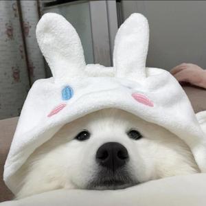 带我去很远地方