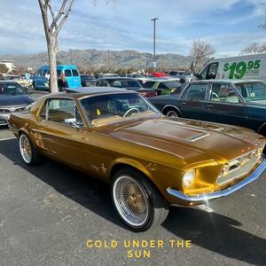 Gold Under The Sun