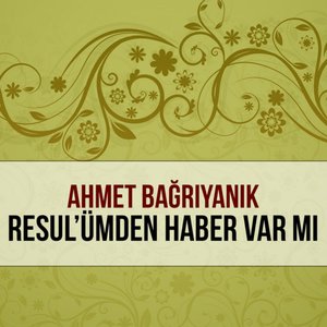 Araya Araya Bulsam İzini