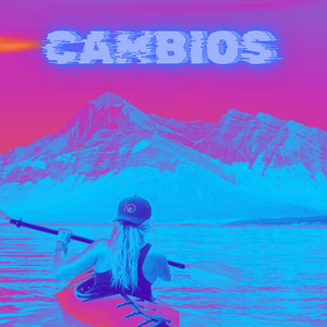 Cambios