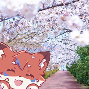 这一生关于你的风景