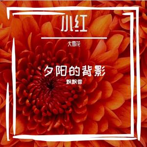 尘埃中谋生（DJ版）