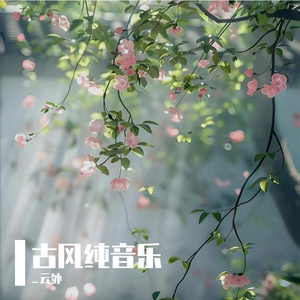 断弦余音，风雪执念