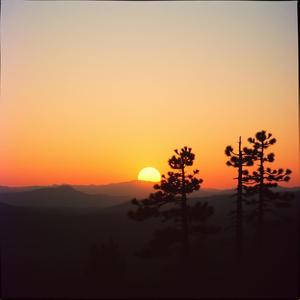 저녁노을에 서서