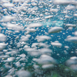 SINK (심해어) (inst.)