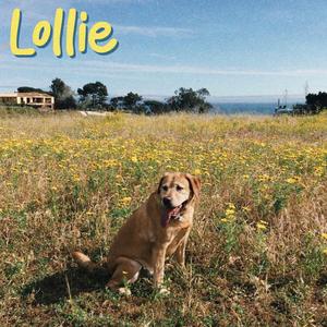 Lollie