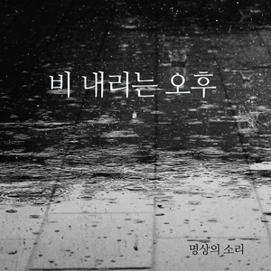 비 내리는 오후