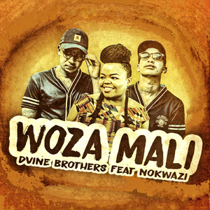 Woza Mali (Original Mix)