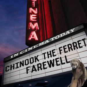 Ferret King