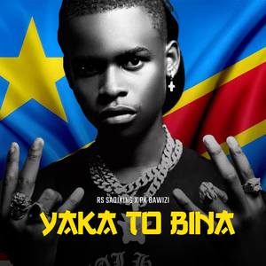 Yaka To Bina