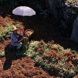 我是那粒沙_梦達