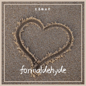 福尔马林（prod.by Mr.nine）
