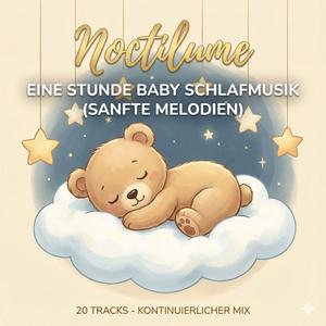 Der kleine Traumstern