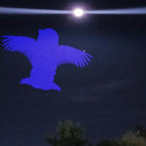 after my death i hope i'm able to meet you -Again-