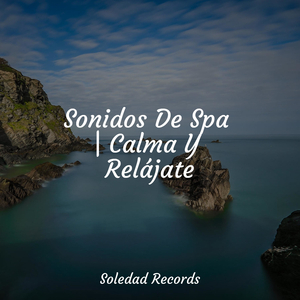 Un Humor De Ambiente