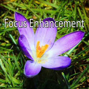 Faint Chirping Through The Storm