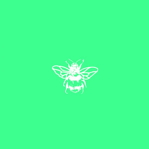 Dancefloor (Original Mix)