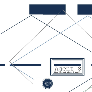 Agent S (You've Got What I Want) (Original Mix)