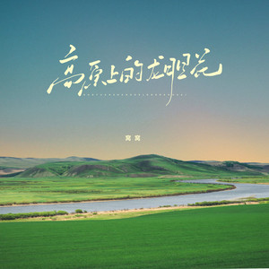 高原上的龙胆花