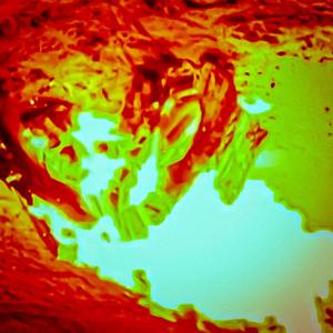 Arbitration/PatientlyDelayedReaction/PsychocitcChildren/ArticulateYourFeelingsBetterPLZ.tymix.1