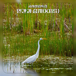인간과 습지 20180304 B.G 04