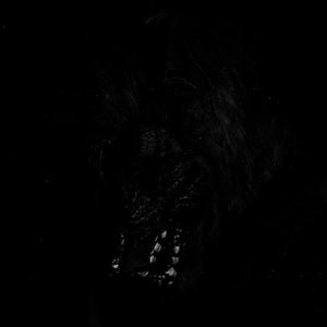 Silhouette & Cigarettes