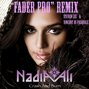 Crash And Burn (Steven Lee & Vincent di Pasquale "Fader Pro" Remix (Radio Edit))