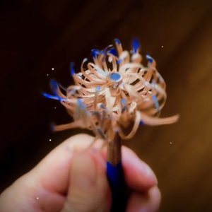 痛苦时坦率如沙漠海市蜃楼