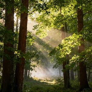 不知所措 (Cover 王靖雯不胖)