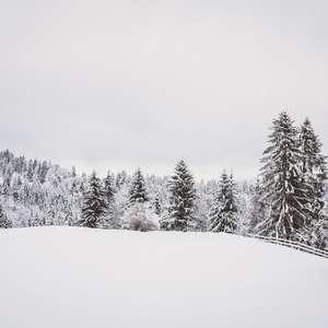하얀 눈 속에 우리는...