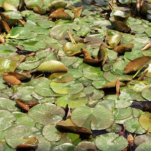 《下次》词曲唱赵鑫