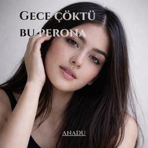 Gece çöktü bu perona