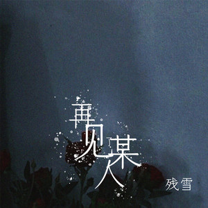 再见了某人