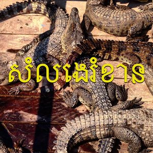 SE Asian Noises, Pt. 2