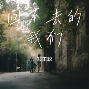 回不去的我们