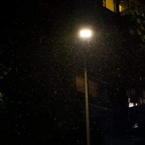 怅惘中分不清自己