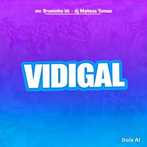 VIDIGAL