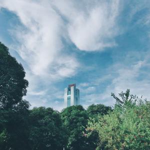 ハレハレヤ（朗朗晴天）（翻自 Sou）