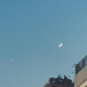 月亮惹的祸（吉他弹唱）