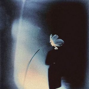 wonderfu u翻唱片段