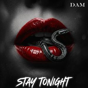 Stay Tonight