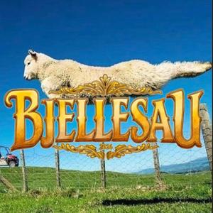 Bjellesau 2026