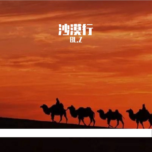 沙漠行