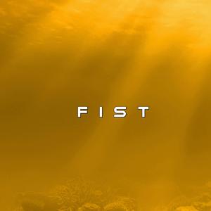Fist
