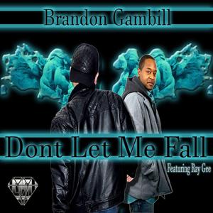 Don't Let Me Fall (feat. RayGee)